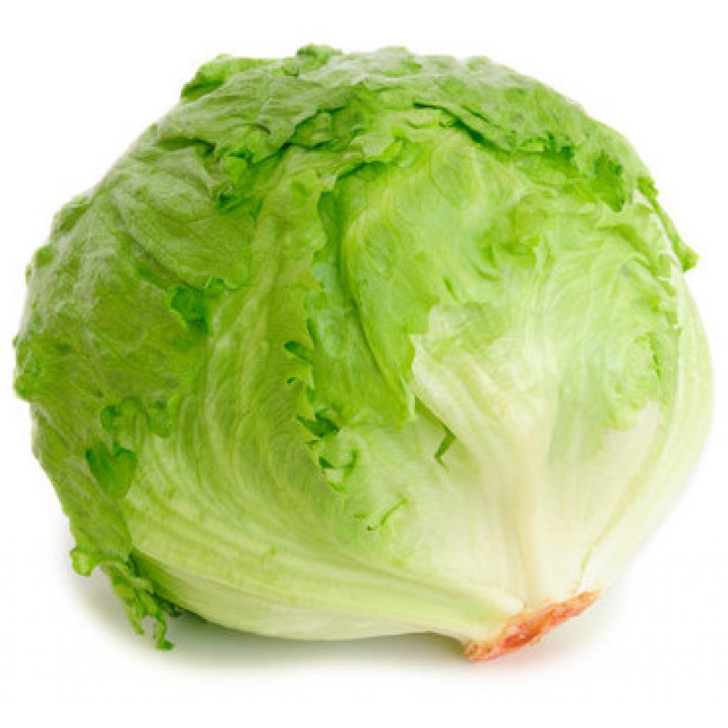 net carbs in iceberg lettuce