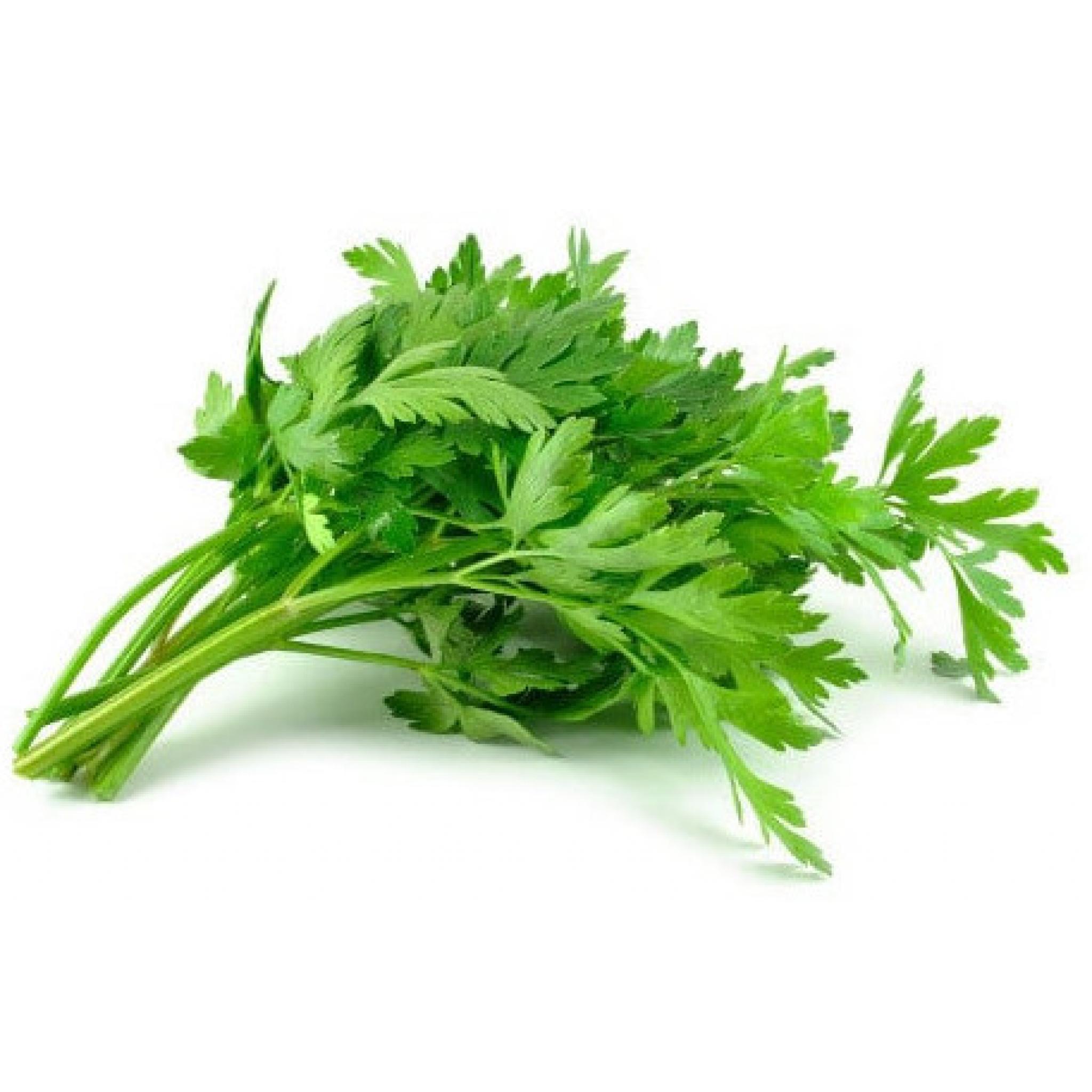 Parsley (100g)