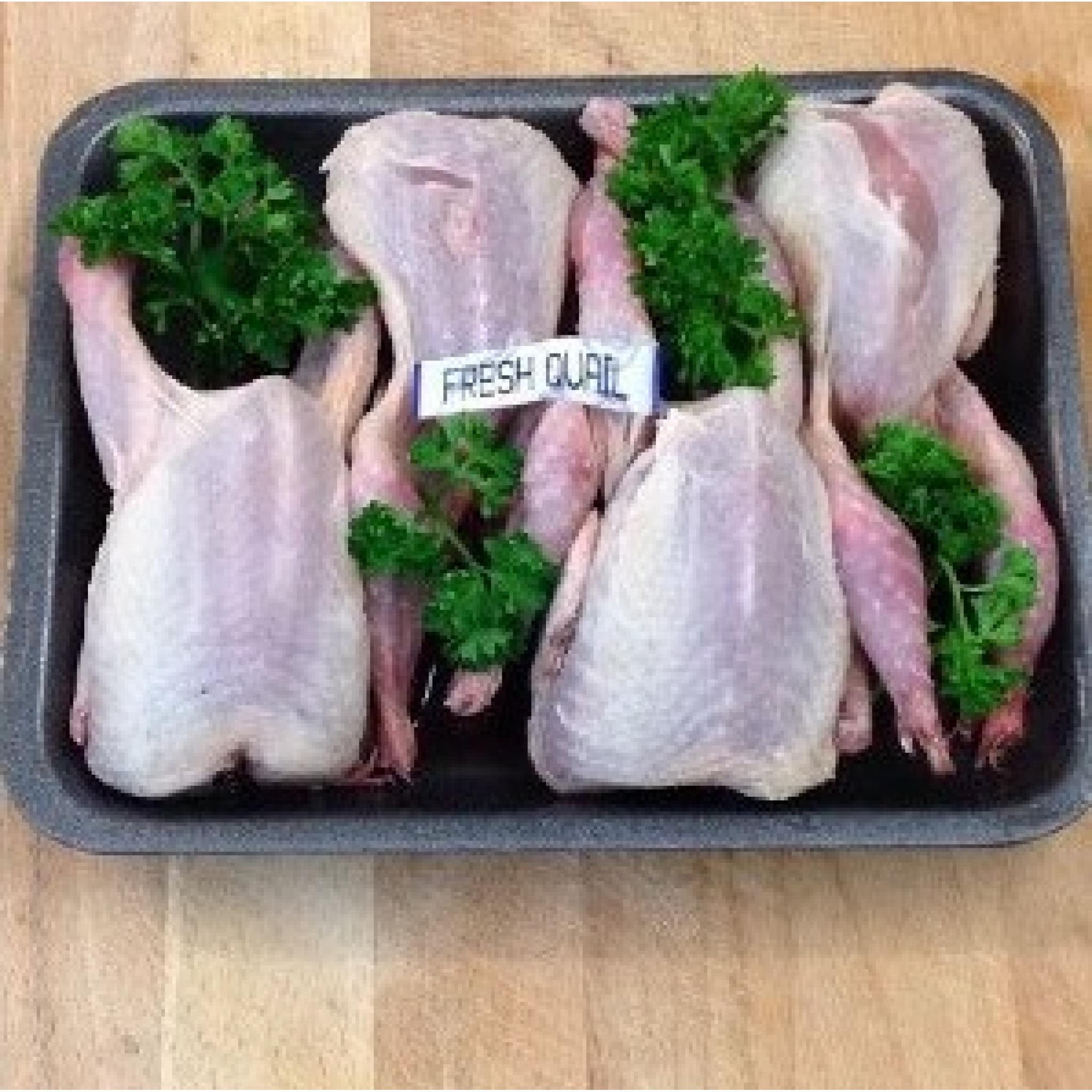 Quail (4 pack)